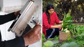 অ্যালুমিনিয়াম ফয়েলের এই কায়দাটা জানলেই, বাড়ির বাগান ফুলে ফলে ভরে উঠবে