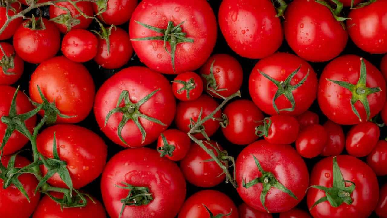 Smart Tomato Storage Trick For Summer: ফ্রিজে নয়, বাইরেই থাকবে টাটকা! বাজার থেকে এনে এভাবে রাখুন টমেটো
