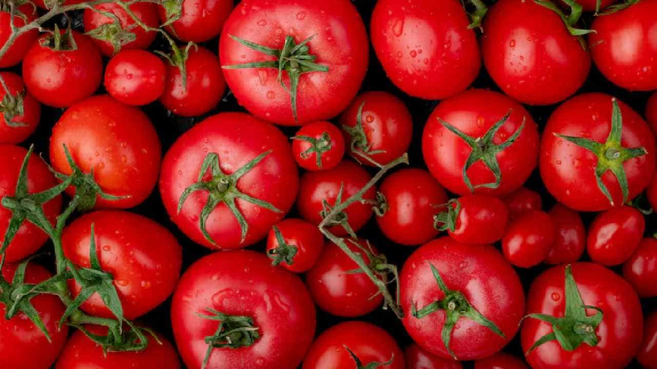 Smart Tomato Storage Trick For Summer: ফ্রিজে নয়, বাইরেই থাকবে টাটকা! বাজার থেকে এনে এভাবে রাখুন টমেটো Smart Tomato Storage Trick For Summer: ফ্রিজে নয়, বাইরেই থাকবে টাটকা! বাজার থেকে এনে এভাবে রাখুন টমেটো
