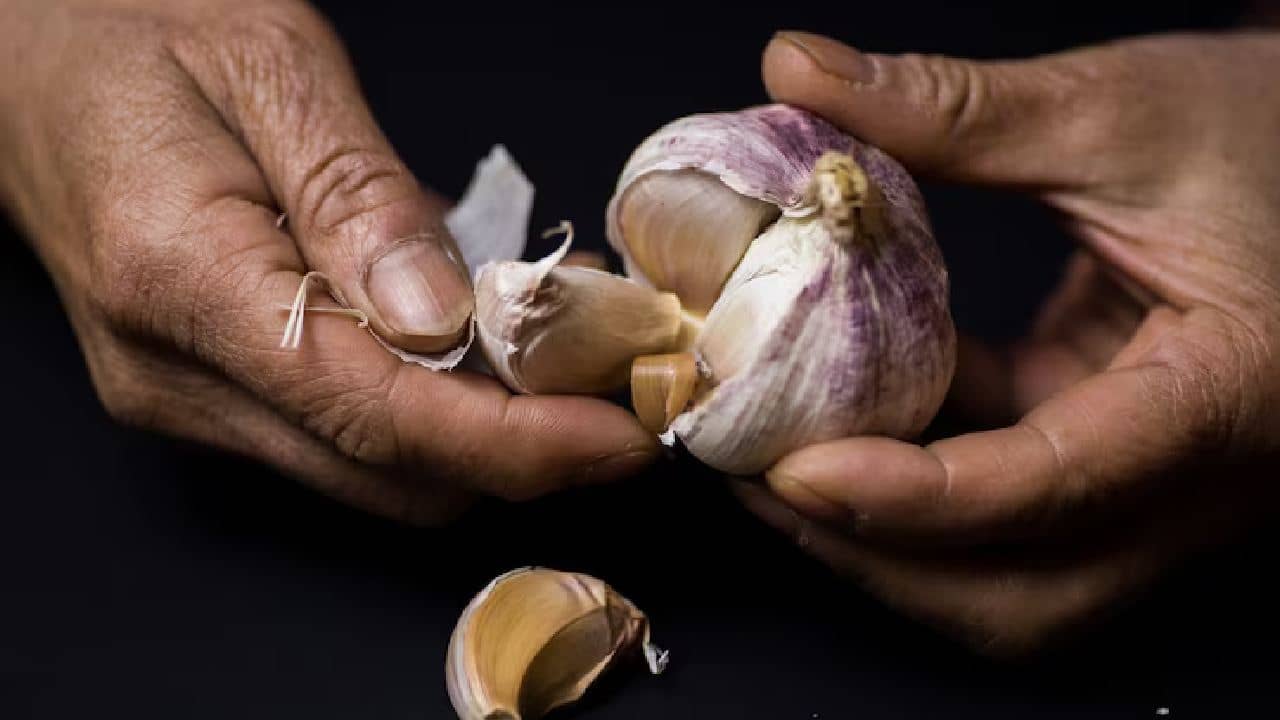Peel garlic easily in seconds: এই কায়দাটা শিখে নিলেই, সেকেন্ডে ছাড়ানো যাবে রসুনের খোসা!