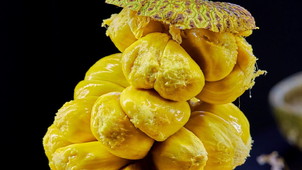 হৃদযন্ত্রের সুরক্ষা ও রক্তচাপ নিয়ন্ত্রণে রাখতে পাকা কাঁঠাল অত্যন্ত গুরুত্বপূর্ণ ভূমিকা পালন করতে সক্ষম। এটি পটাশিয়ামের একটি চমৎকার উৎস, যা শরীরে সোডিয়ামের প্রভাব কমিয়ে রক্তচাপ স্বাভাবিক রাখতে সাহায্য করে। প্রতিদিনের খাদ্যতালিকায় পটাশিয়াম সমৃদ্ধ কাঁঠাল রাখলে হৃদরোগ ও স্ট্রোকের ঝুঁকি অনেকটাই কমে যায় বলে গবেষণায় দেখা গিয়েছে। Getty Images
