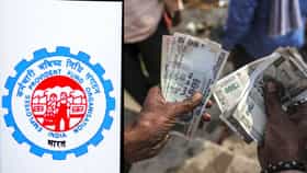 PF দিচ্ছে মোটা সুদের টাকা, অ্যাকাউন্টে টাকা এসেছে কি না, কীভাবে জানবেন