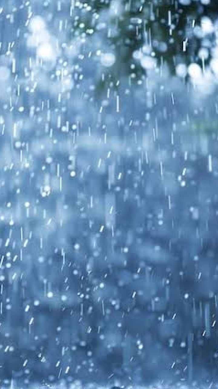 ঘনাচ্ছে নিম্নচাপ, কোথায় কোথায় বৃষ্টি?