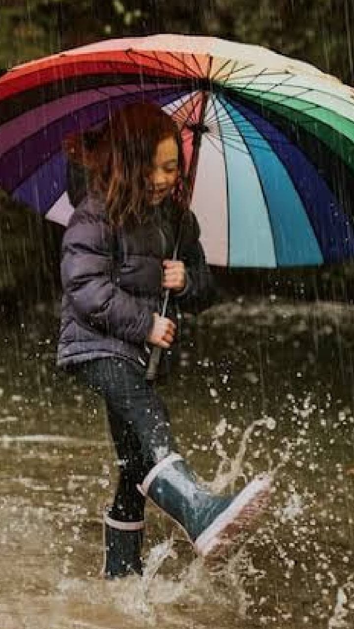 দক্ষিণের ৫ জেলায় ভারী বৃষ্টি! কমলা সতর্কতা দার্জিলিং, কালিম্পং, জলপাইগুড়িতে