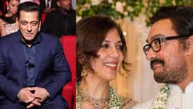 'নিখুঁত বিয়ে না হওয়া পর্যন্ত ও থামবে না', আমিরকে নিয়ে একী বললেন সলমন!