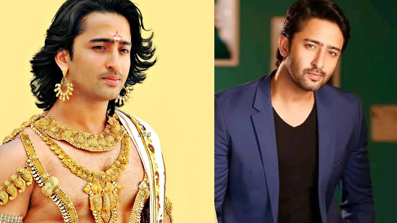 Shaheer Sheikh Mahabharat: নিজেকে বাথরুমে বন্ধ করে রাখেন! মহাভারতের ‘অর্জুন’ হওয়ার পর কী ঘটে শাহীরের সঙ্গে?