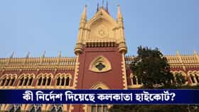 ৩ বছর ধরে সহবাস, ক্রিকেটারের বিরুদ্ধে বড় নির্দেশ কলকাতা হাইকোর্টের!
