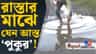 ১৪০ কোটি খরচ, তৃণমূল আমলের রাস্তার হাল দেখুন
