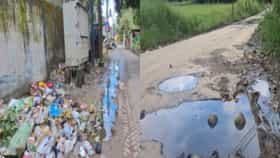 রাস্তার ধারে জঞ্জালের স্তূপ! এ কী হাল TMC পরিচালিত বারুইপুর পুরসভায়?