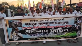 TMC: মমতার ওপর ‘হামলা’য় প্রতিবাদ মিছিলে দেখা গেল হাতেগোনা তৃণমূল কর্মীকে