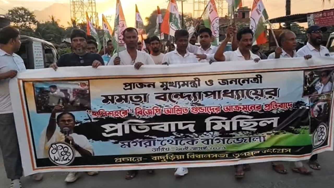 TMC: মমতার ওপর 'হামলা'য় প্রতিবাদ মিছিলে দেখা গেল হাতেগোনা তৃণমূল কর্মীকে TMC: মমতার ওপর 'হামলা'য় প্রতিবাদ মিছিলে দেখা গেল হাতেগোনা তৃণমূল কর্মীকে