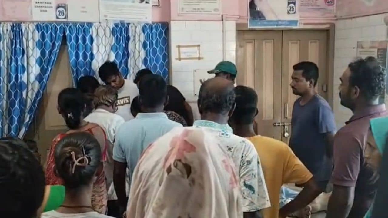 Basirhat Accident: বাইক নিয়ে যাচ্ছিলেন, তখনই ভেঙে পড়ে গাছের ডাল! মর্মান্তিক মৃত্যু বাইক আরোহীর
