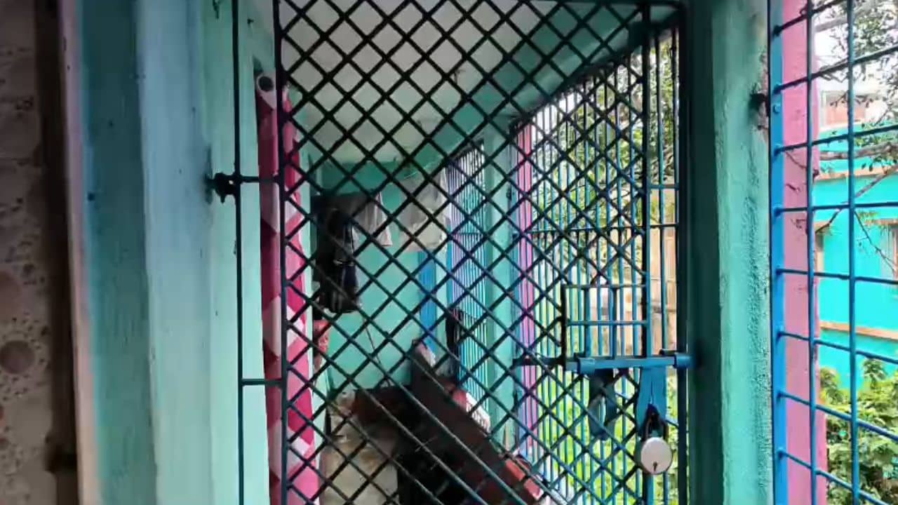 Bhangar: ভারত বিরোধী মন্তব্য করার অভিযোগ, STF-এর জালে ১
