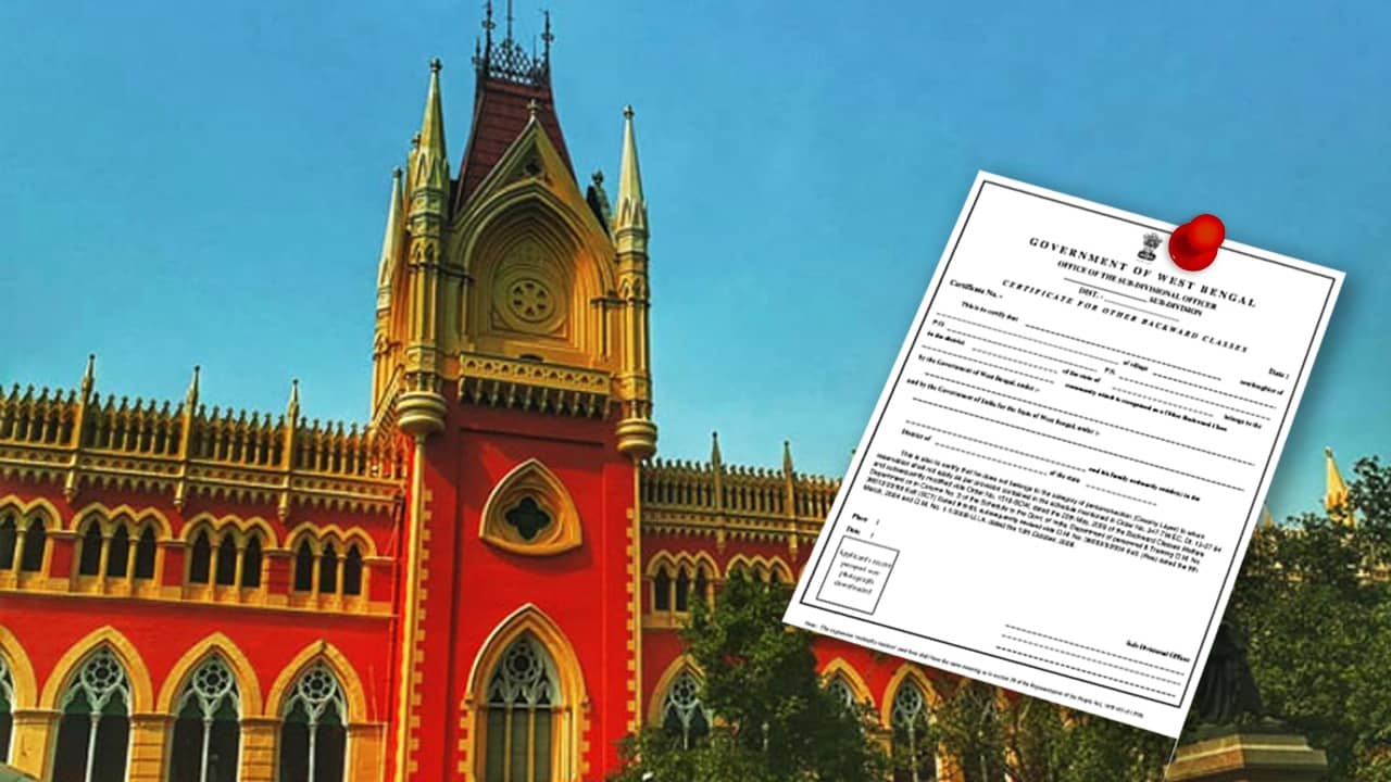 Calcutta High Court: মামলার নিষ্পত্তি পর্যন্ত কোনও যাচাই নয় কাস্ট সার্টিফিকেট নিয়ে বড় নির্দেশ কলকাতা হাইকোর্টের