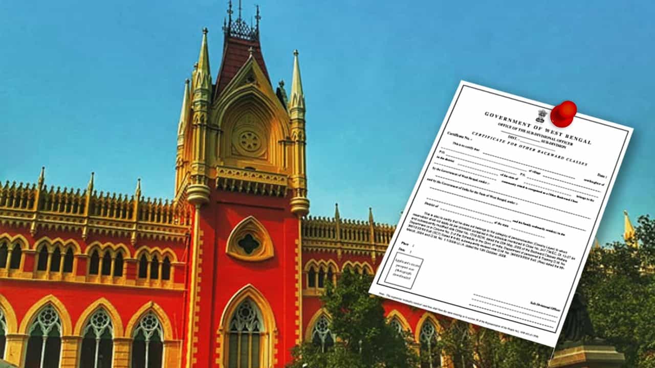 Calcutta High Court: 'মামলার নিষ্পত্তি পর্যন্ত কোনও যাচাই নয়' কাস্ট সার্টিফিকেট নিয়ে বড় নির্দেশ কলকাতা হাইকোর্টের Calcutta High Court: 'মামলার নিষ্পত্তি পর্যন্ত কোনও যাচাই নয়' কাস্ট সার্টিফিকেট নিয়ে বড় নির্দেশ কলকাতা হাইকোর্টের
