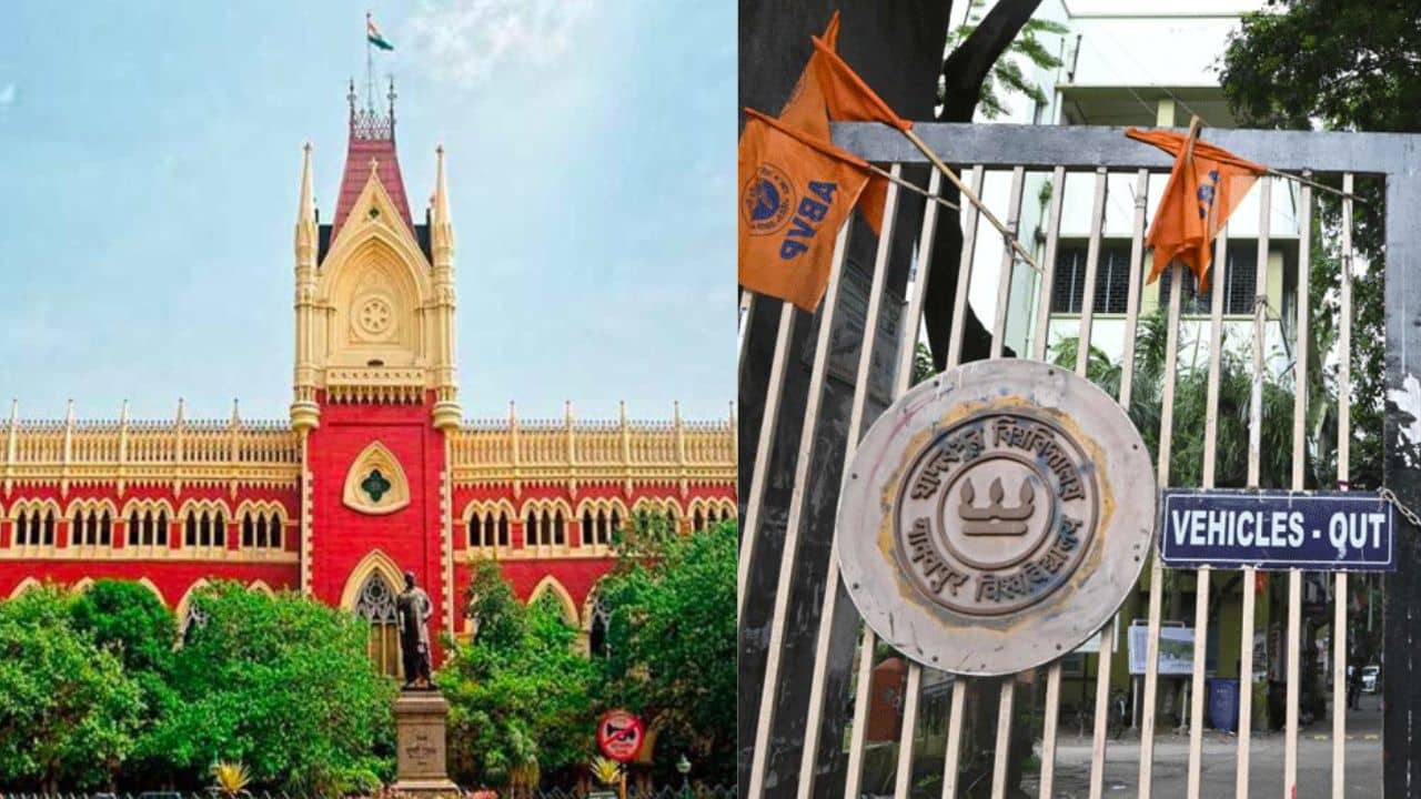 Calcutta High Court: যাদবপুরে ABVP-FETSU সংঘর্ষ, জরুরি শুনানির আর্জি খারিজ হাইকোর্টে
