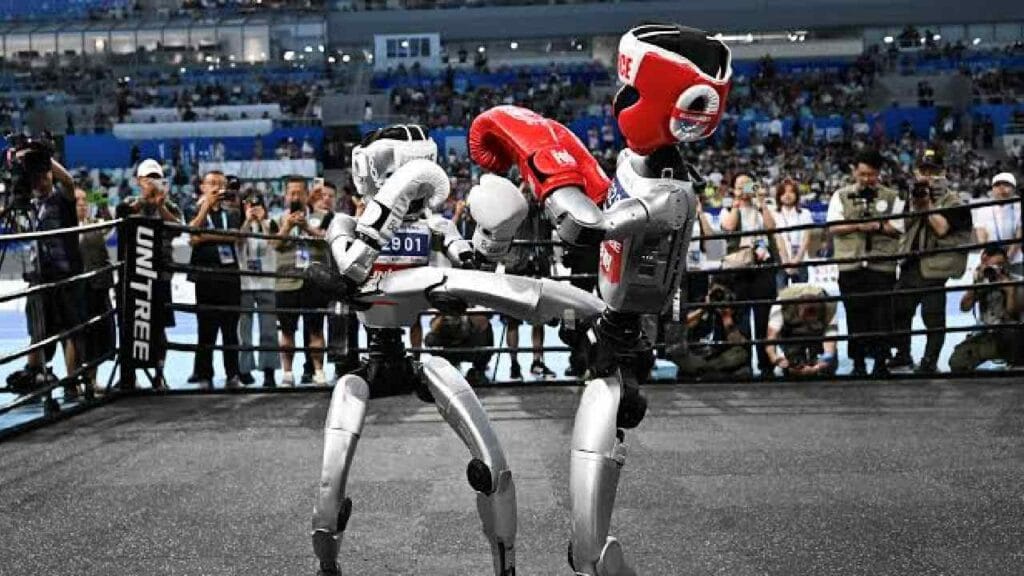Chinese Boxing Robots (1)