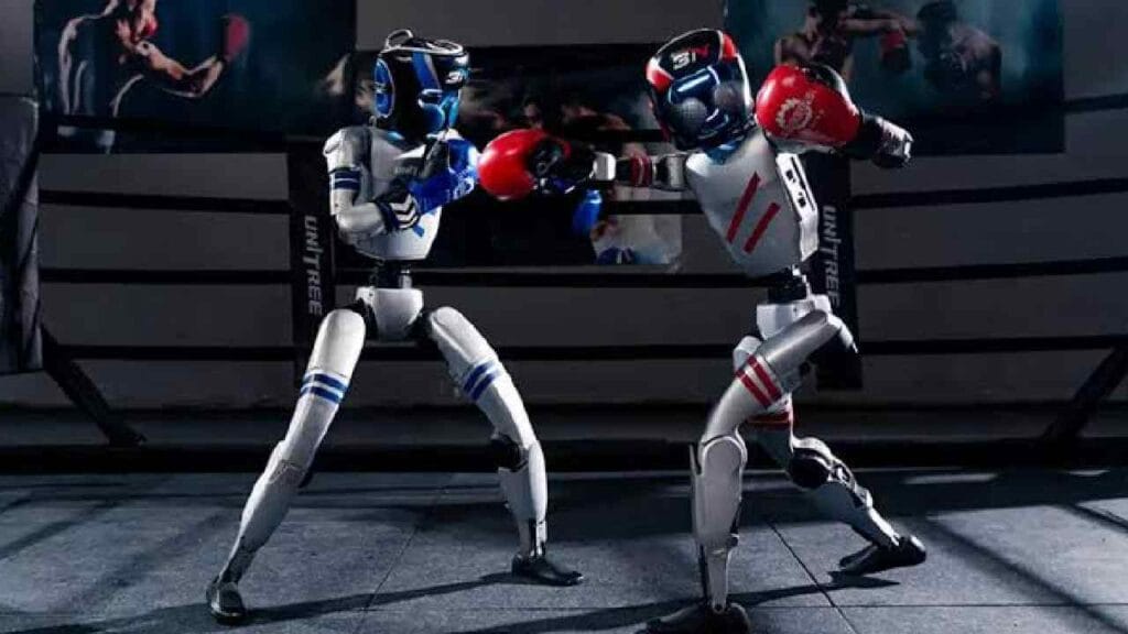 Chinese Boxing Robots