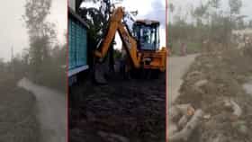 'পুষ্পা'র অফিসে বুলডোজার, প্রশাসন চালায়নি, হলটা কী?
