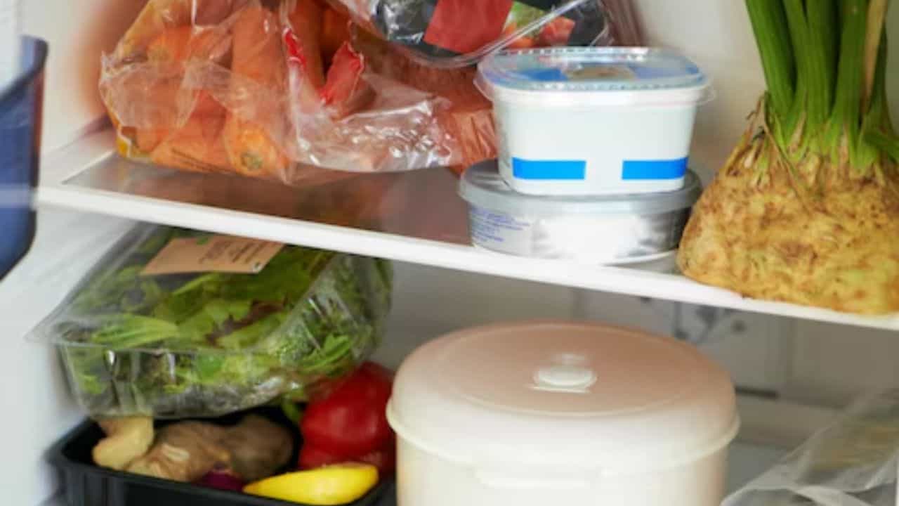 Cooked Food Storage in Fridge: রান্না করা খাবার ঠিক কখন ফ্রিজে রাখা উচিত? কতদিন রাখা উচিত? Cooked Food Storage in Fridge: রান্না করা খাবার ঠিক কখন ফ্রিজে রাখা উচিত? কতদিন রাখা উচিত?