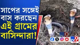 একে জল-কাদায় নাজেহাল, সঙ্গে সাপের উপদ্রব, আতঙ্ক দিন কাটছে গ্রামবাসীর