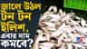 এবার কি কমে যাবে ইলিশের দাম?