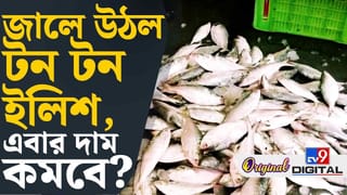 Hilsa Fish: এবার কি কমে যাবে ইলিশের দাম?