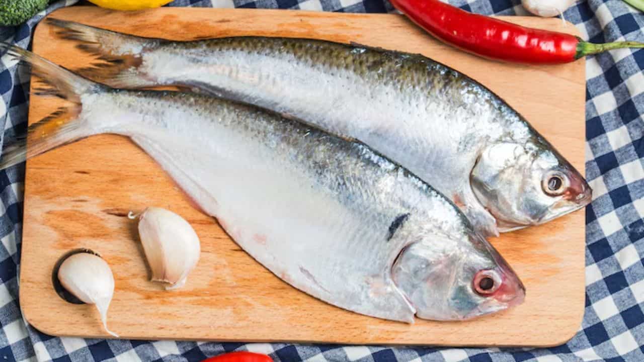 How to Choose Hilsa: ইলিশ মাছ কাটার আগেই কীভাবে বুঝবেন পেটে ডিম আছে কি না? জেনে নিন সহজ উপায় How to Choose Hilsa: ইলিশ মাছ কাটার আগেই কীভাবে বুঝবেন পেটে ডিম আছে কি না? জেনে নিন সহজ উপায়