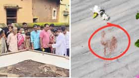 সাত সকালে কৃষ্ণ মন্দিরে যাওয়ার পথে বেদীতে চোখ পড়তেই চমকে উঠলেন সবাই..