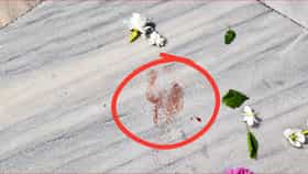 সাত সকালে কৃষ্ণ মন্দিরে যাওয়ার পথে বেদীতে চোখ পড়তেই চমকে উঠলেন সবাই..