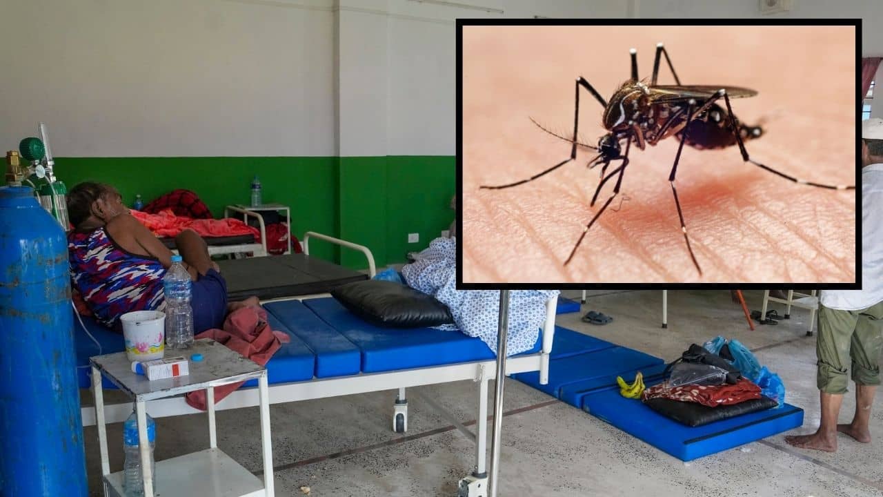Dengue Alert Kolkata: ১০ জনের মৃত্যু ভাবাচ্ছে স্বাস্থ্য দফতরকে, ৭ দিনে হাসপাতালে ভর্তি ৮০০ আক্রান্ত