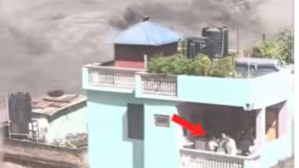 ওরা বেঁচে গেল! ভাইরাল হওয়া সবুজ বাড়ি যেন 'অলৌকিক'