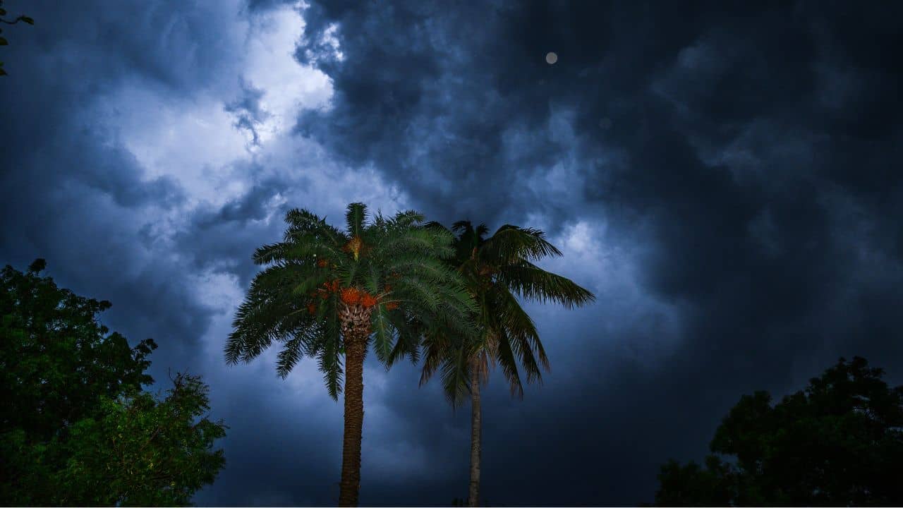 Weather Update: রবিবার থেকে আবার বদলে যাবে আবহাওয়া, দুই জেলার জন্য বড় আপডেট