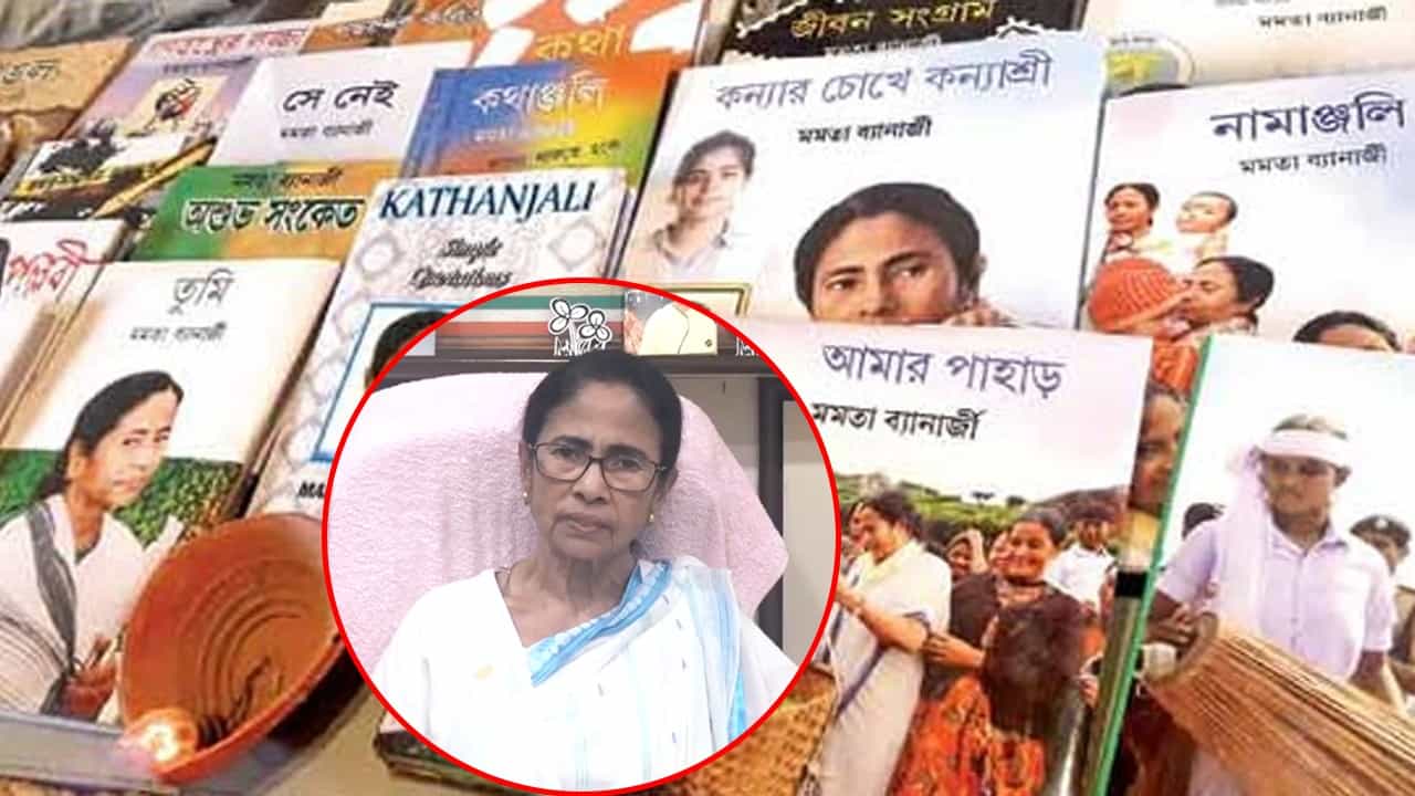 Mamata Banerjee: 'এ বছর বইয়ের রয়্যালটি পর্যন্ত পাইনি', মমতার সংসার চলছে কীভাবে? Mamata Banerjee: 'এ বছর বইয়ের রয়্যালটি পর্যন্ত পাইনি', মমতার সংসার চলছে কীভাবে?