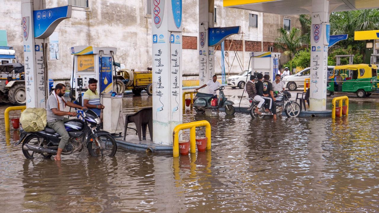 সমস্যা হলে গাড়ি দেখান। আপনার গাড়িটি E20-উপযোগী কি না তা জানার সবচেয়ে সহজ উপায় হল ম্যানুয়ালটি দেখা অথবা প্রস্তুতকারকের সঙ্গে যোগাযোগ করা। সাম্প্রতিক বছরগুলিতে বিক্রি হওয়া অনেক নতুন পেট্রোল চালিত গাড়ি E20 জ্বালানি সমর্থন করার জন্য ডিজাইন বা আপডেট করা হয়েছে।
