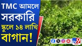 স্কুলের ১৪ লাখের বাগান 'খেয়েছে' ছাগলে, অব্যবহার্য ২৫ লাখের শৌচালয়