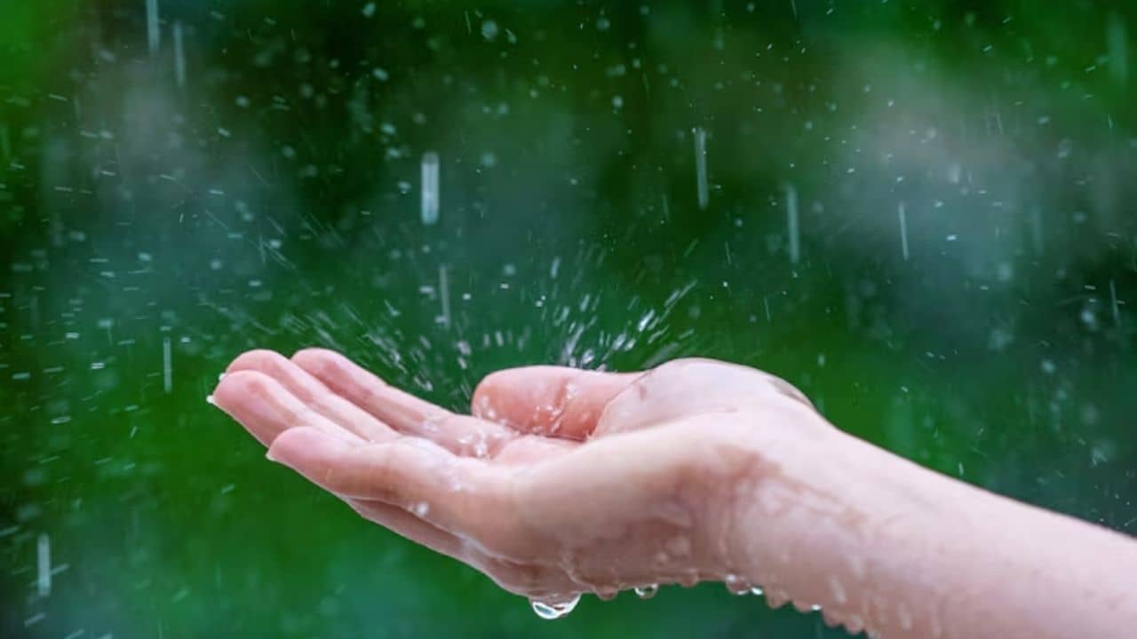 Types of rain in English: বৃষ্টির ইংরেজি ‘Rain’, বৃষ্টিপাতের ইংরেজি জানেন? জানেন বৃষ্টিকে ইংরেজি আর কী কী নামে ডাকা হয়?