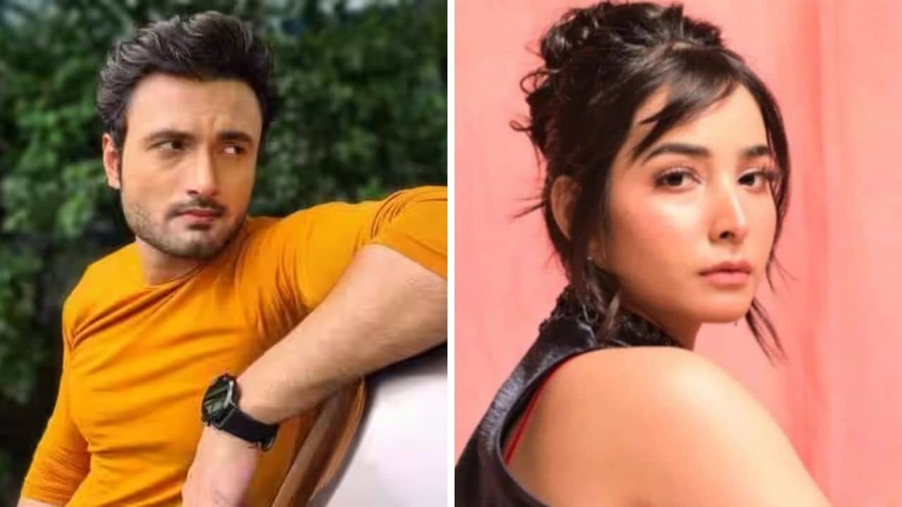 Bigg Boss: বিগ বসের ঘরে শন-সৃজলা জুটি?