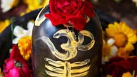 শ্রাবণ সোমবারে পিরিয়ডস শুরু হলে কীভাবে পালন করবেন ব্রত?