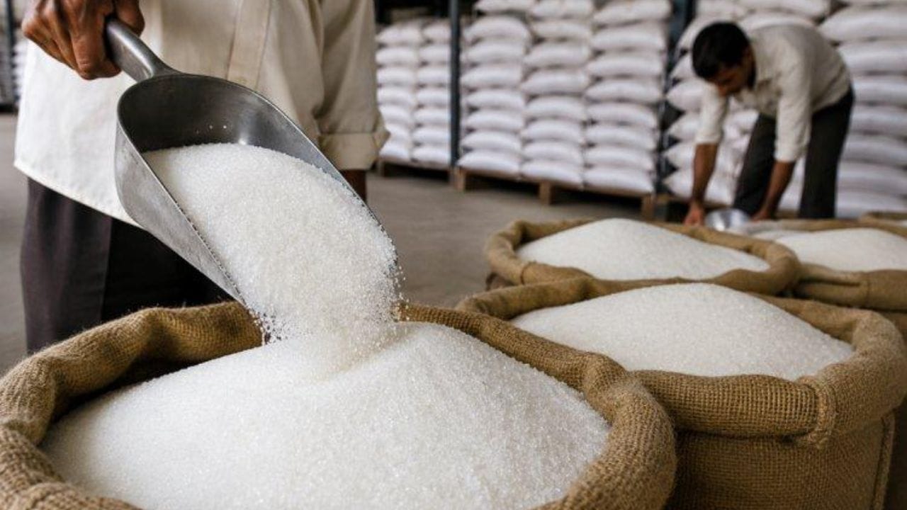 Sugar price Hike: কেন বাড়ছে চিনির দাম? কোন রাজ্যে কত বেশি উৎপাদন? জেনে নিন দেশের Sugar Industry কীভাবে কাজ করে