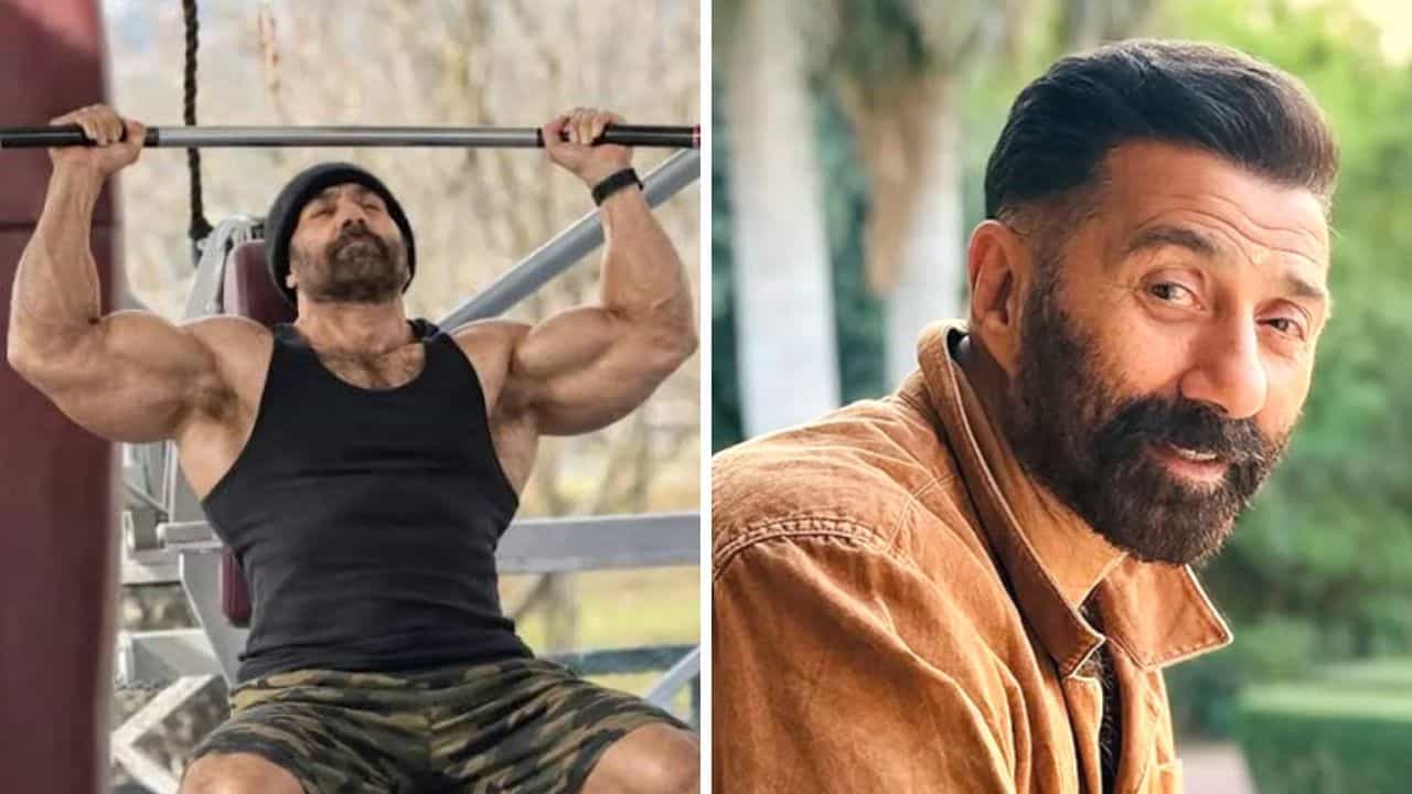 Sunny deol: কীভাবে তৈরি হল সানির 'ঢাই কিলো কা হাত'? ফিটনেস রহস্যটা বলেই ফেললেন নায়ক Sunny deol: কীভাবে তৈরি হল সানির 'ঢাই কিলো কা হাত'? ফিটনেস রহস্যটা বলেই ফেললেন নায়ক
