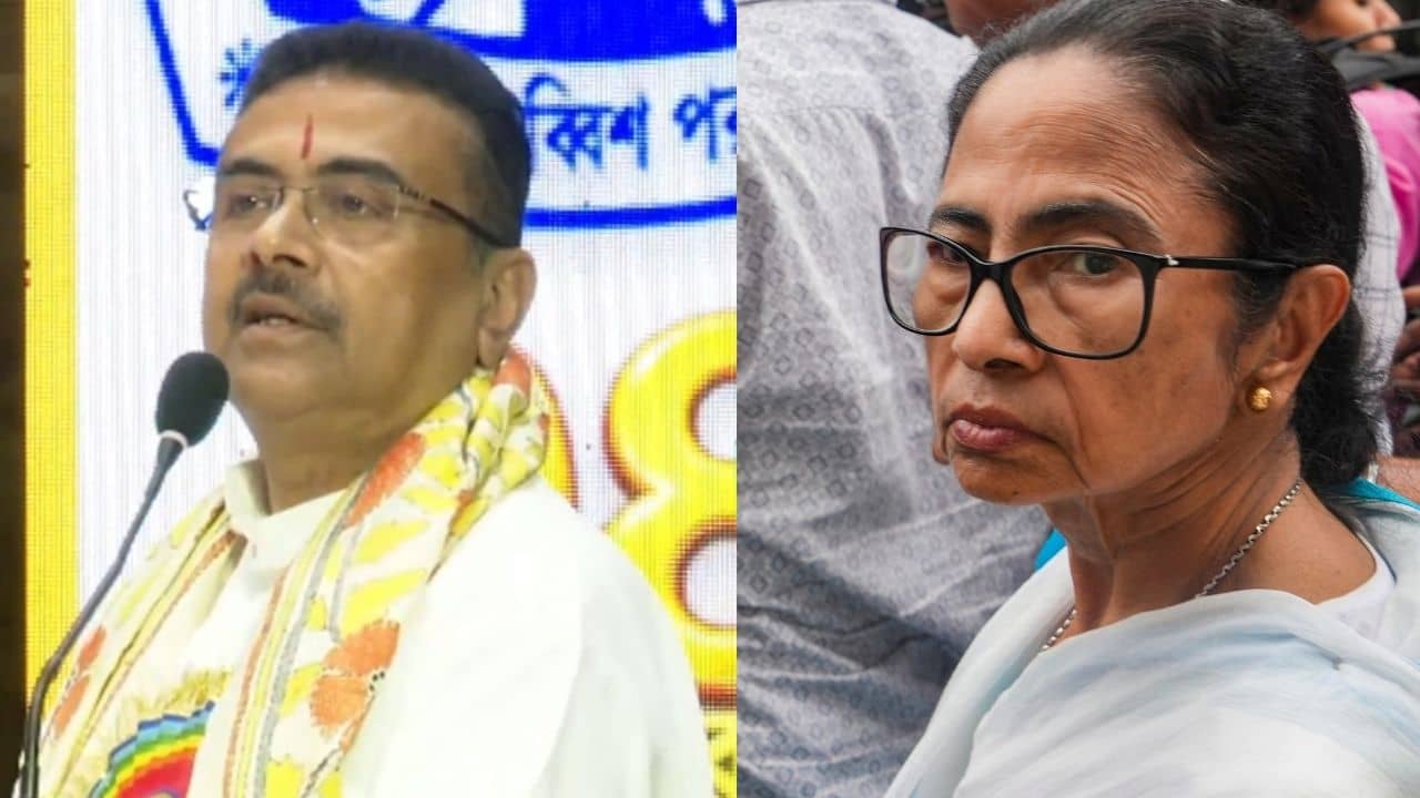 Suvendu Adhikari: বুঝালেও বুঝত না, কেউ কিছু বলতে গেলেই বলত, সব জানি, নাম না করে মমতাকে নিশানা শুভেন্দুর