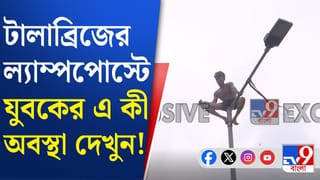 টালা ব্রিজে বাতিস্তম্ভে টানটান ‘নাটক’, যুবকের স্টান্টবাজিতে নাজেহাল দমকলকর্মীরাও