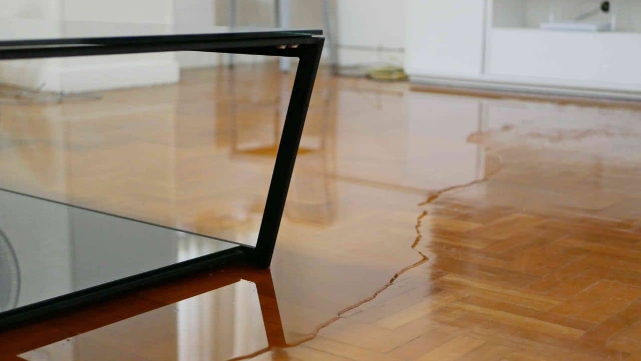 Rainwater Floor Cleaning: ঘরে বৃষ্টির জল ঢুকে ফ্লোরের দফারফা? এই ঘরোয়া টোটকায় আয়নার মতো ঝকঝকে হবে মেঝে