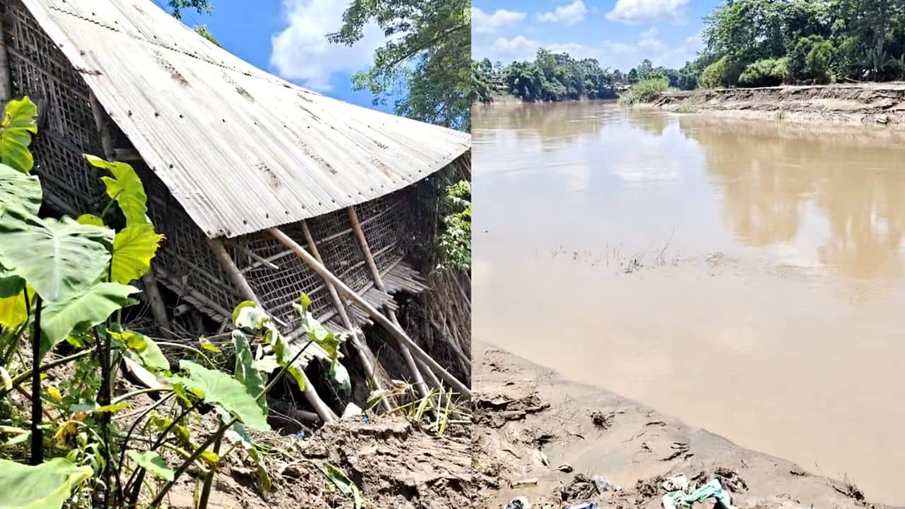 Assam Flood: আতঙ্কের নাম ডিক্রৌ! এমন রোষ নিয়ে তেড়ে এল যে নিমেষে ভেসে গেল গোটা নেপালি খুঁটি