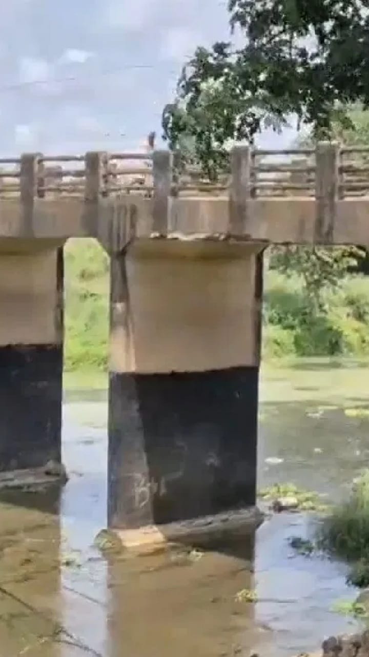 প্রবল বৃষ্টিতে ভাসছে সেতু!