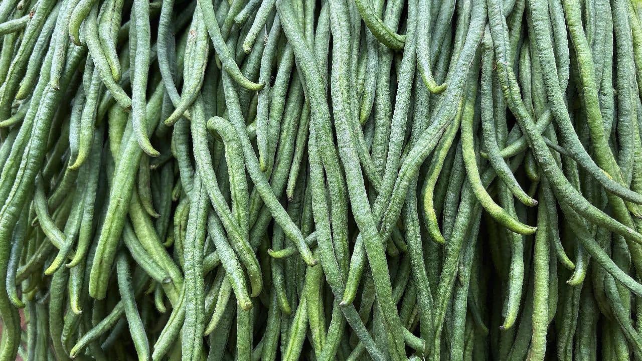 Yardlong beans: জানেন বরবটি খেলে শরীরে কী কী ঘটে?