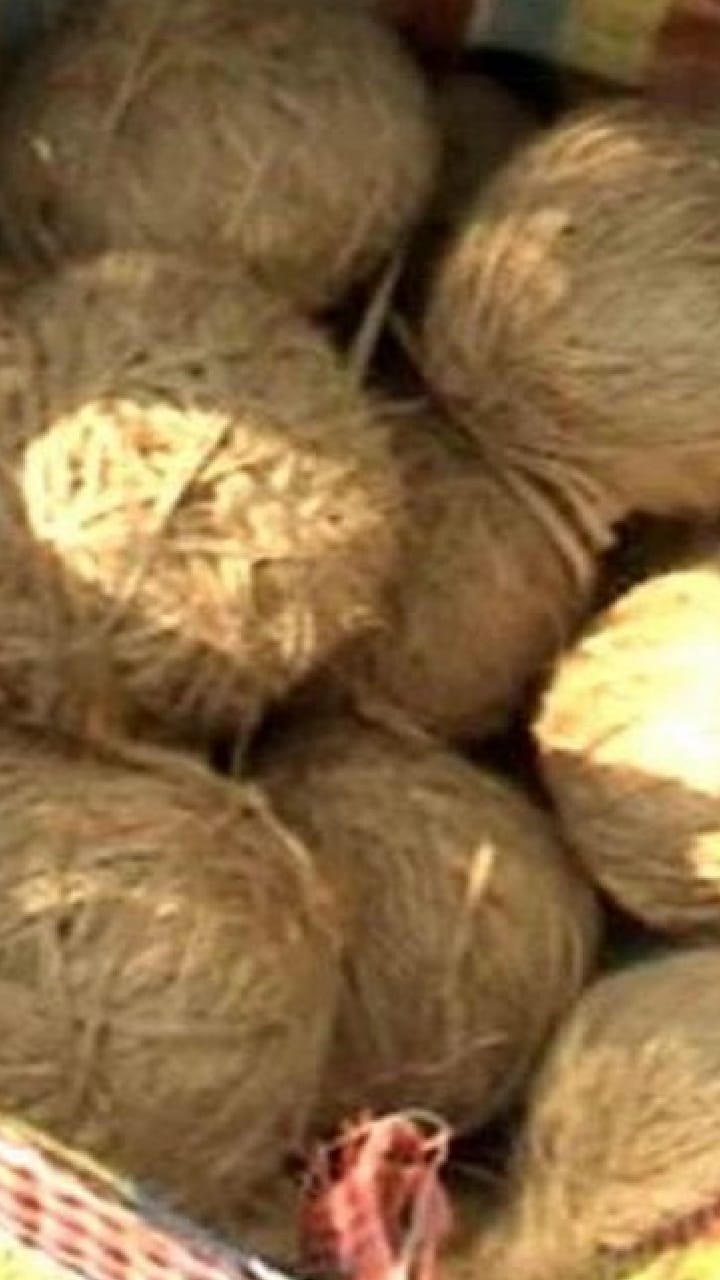 গুলির রেশ কাটেনি, এবার ভাটপাড়ায় উদ্ধার বোমা!