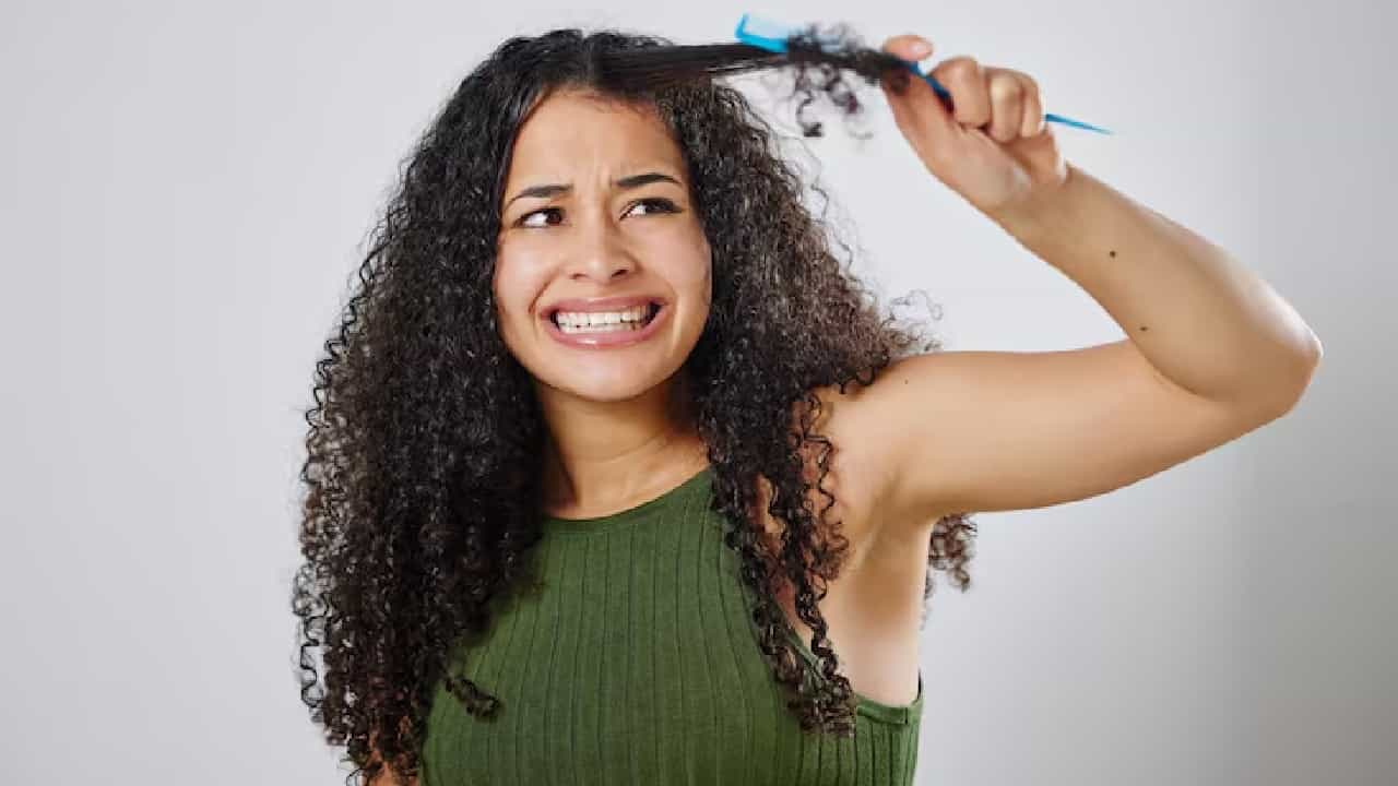 Curly Hair Care Tips: কোঁকরানো চুল সামলাতে গিয়ে নাজেহাল! এটা করুন Curly Hair Care Tips: কোঁকরানো চুল সামলাতে গিয়ে নাজেহাল! এটা করুন