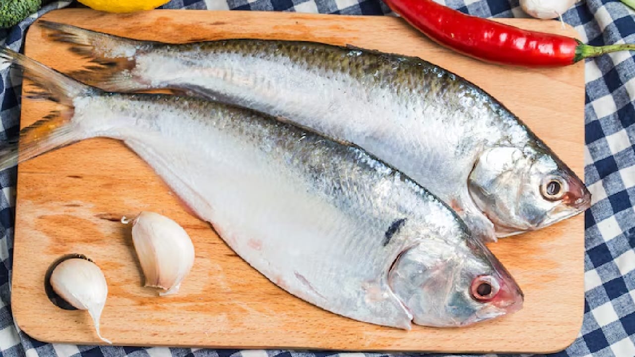 Identify real Hilsa fish: দেখতে একই রকম! চড়া দাম দিয়ে ইলিশের বদলে এই মাছ কিনে ঠকছেন নাতো?